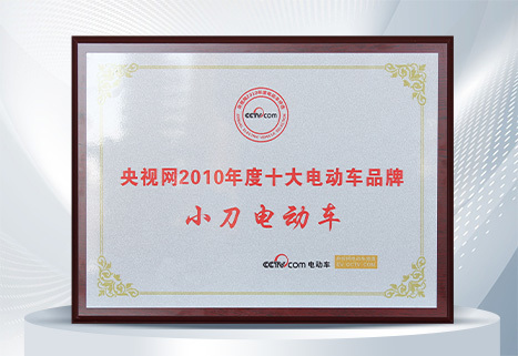央视网2010年度十大电动车品牌 央视网2010年度十大电动车品牌