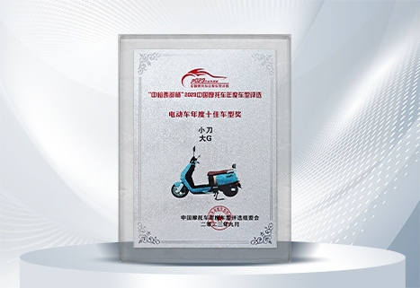 2023年度十佳车型奖-小刀大G 2023年度十佳车型奖-小刀大G