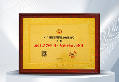 2022品牌强国年度影响力企业 2022品牌强国年度影响力企业